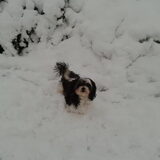 Easy in de sneeuw