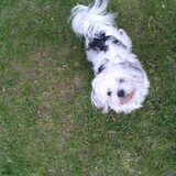 Mika in het park