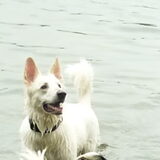 Foto van Hetty & Skipper