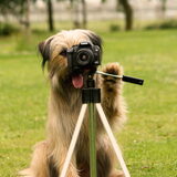 Foto van team Shadow