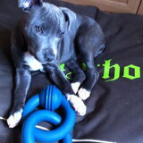 Ons fotomodel