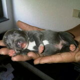Baby Mythos
