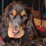 Foto van Valérie, Milo en Noa