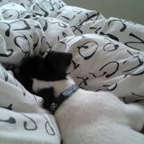Eerste keer op bed slapen... meteen tot 10.30 uur geslapen...