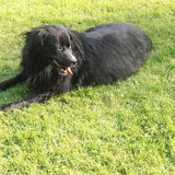 Foto van tessa