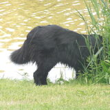 Foto van tessa