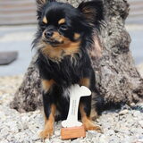 Trofee voor de kleinste deelnemer op de BHV-games!
