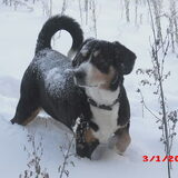 Foto van wendy