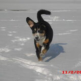 Foto van wendy