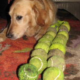 Dobby's tennisballen verzameling.