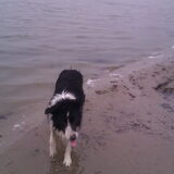 zo'n bal met zand is niet lekker