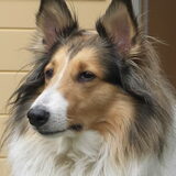 Onze Stoere Miera.