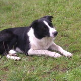Kees, waar is de bal ?
