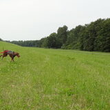 Heee, daar is dat slootje weer! :) (Knardijk, 2 juli 2013)