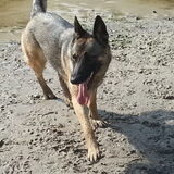 loonse-drunense duinen 2/7/13
