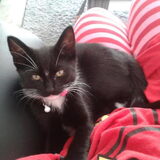 Foto van Vivian   <3    Sem