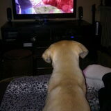 Even tv kijken.