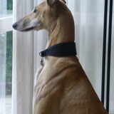 Foto van Ina, Misty en Aysa