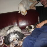 Foto van liesbeth,Turbo,Luna, Levi en Faith