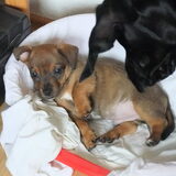 Nando checkt onze nieuwe bewoner