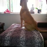 Hou alles in de gaten...