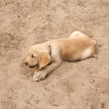 Foto van sandra