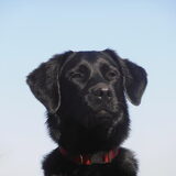 Foto van Marlies