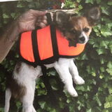 Omdat ik altijd mee mag op vacantie moet ik wel een zwem vest hebben