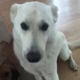 Cas 7 jaar!