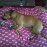 MN MEISJE