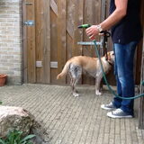 Onder de douche