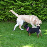 Met Roxy
