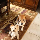 Ares 9j & Xena 1j