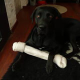 Uberbone!