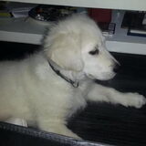 Foto van Rafaella en Sam