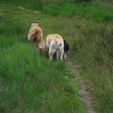 Snuffel tochtje :D