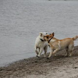 Spelen!