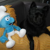 Gizmo gesmurfd