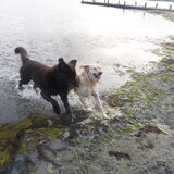 Foto van Jeanine :)