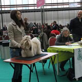 bonnie bij de winnershow. 3e plaats en een uitmuntend