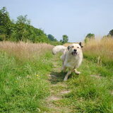 Foto van Julie & Yucca <3