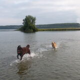 Foto van Jeanine :)