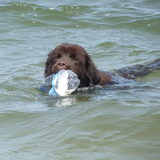 Foto van Jeanine :)