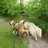 Foto van Gwenn