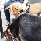 Foto van Gwenn