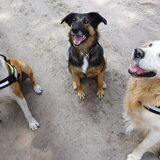 Foto van Gwenn