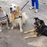 Foto van Gwenn