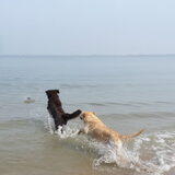 Foto van Jeanine :)