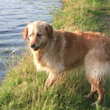 sendy, 5 jaar jong