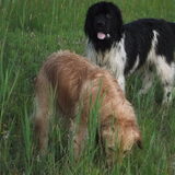 Foto van amber&koda